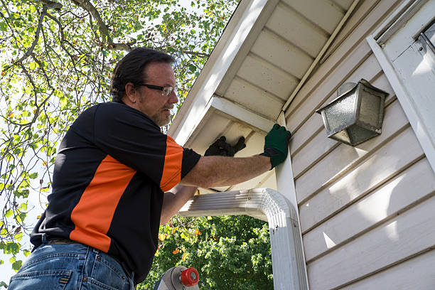 Affordable Siding Repair and Maintenance Services in Shadow Lake, WA